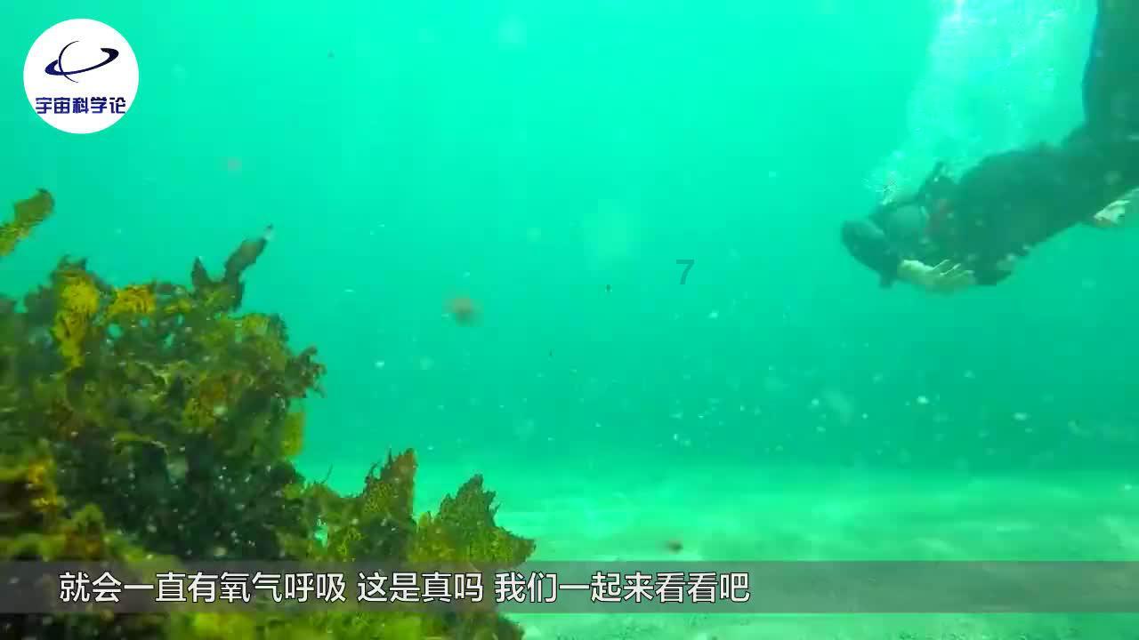 法兴银行:预计2024年第二季度美元/日元将跌破140