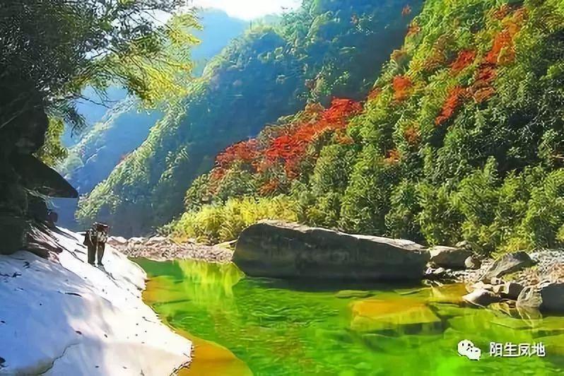 逃离狂热地带