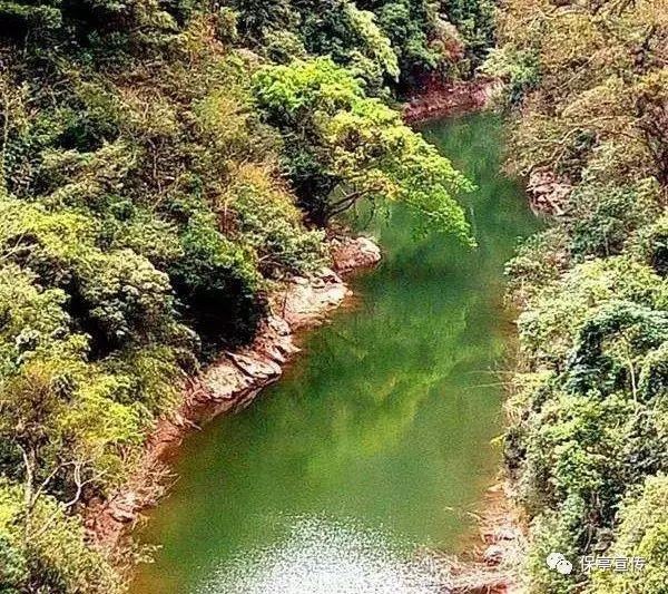 一文读懂高血压危象