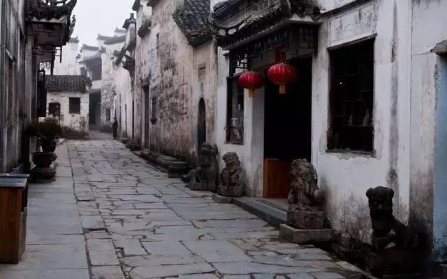 美人鱼的聚会